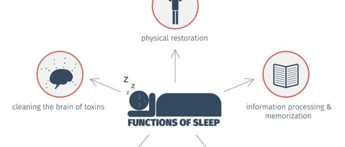 Importance of Sleep – Reasons Why You Should Catch More Hours of Sleep