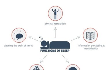 Importance of Sleep – Reasons Why You Should Catch More Hours of Sleep