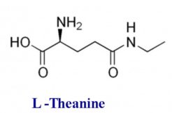 Still Having Sleep Problems? L-Theanine Can Fix That Easily!